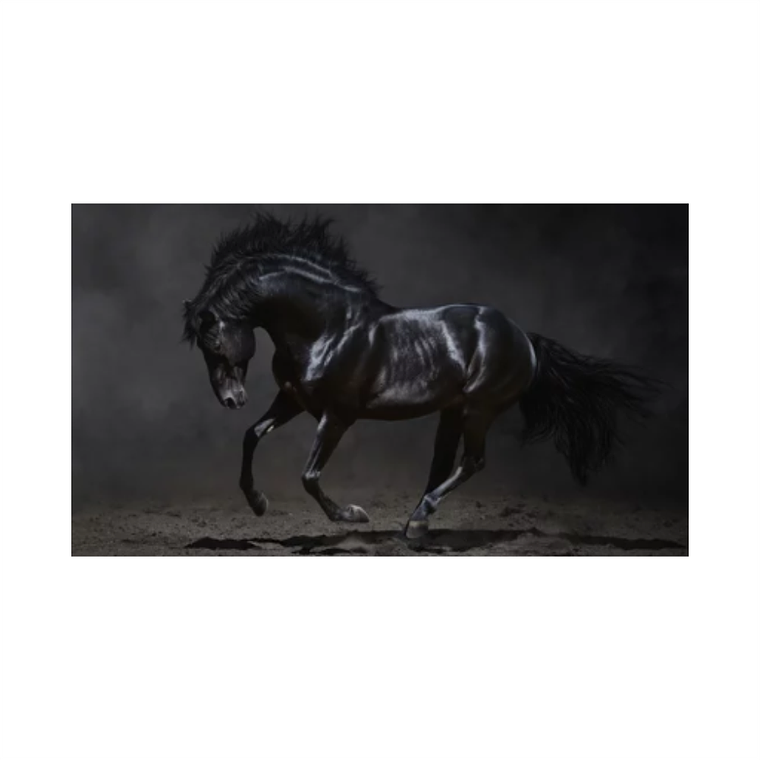 Quadro Decorativo Cavalo Black 2