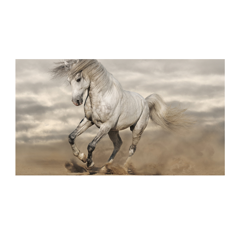 Quadro Decorativo Cavalo Bege 2