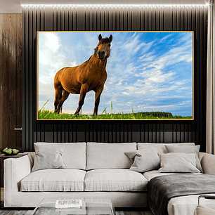 Quadro Decorativo Cavalo Céu Azul