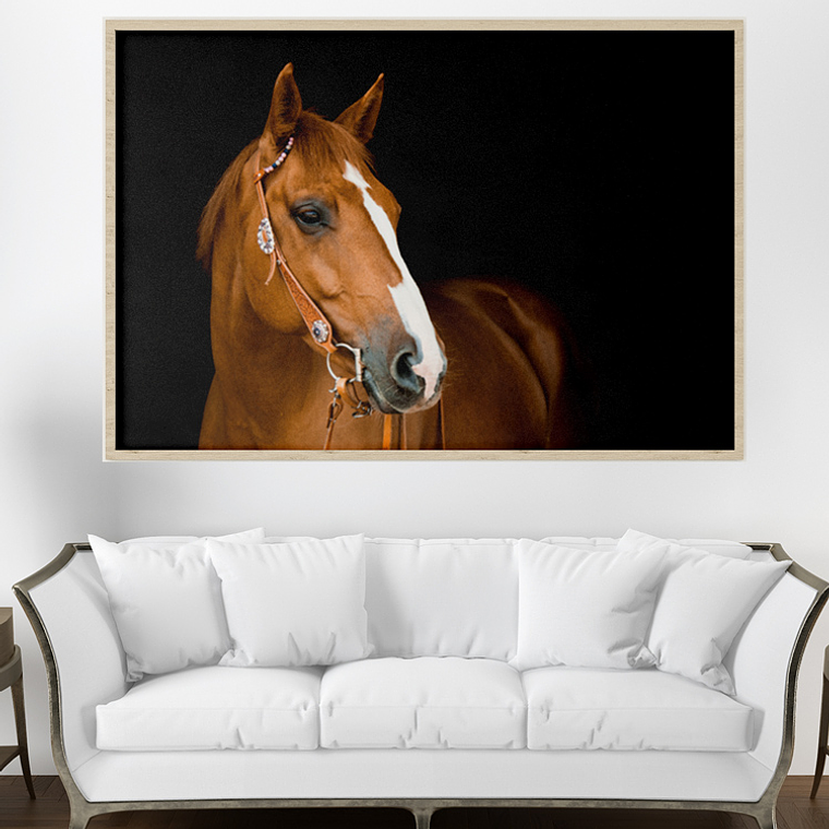 Quadro Decorativo Cavalo Marrom 1