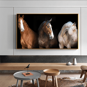 Quadro Decorativo Cavalo Cores