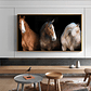 Quadro Decorativo Cavalo Cores - Thumbnail 1