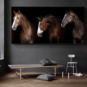 Quadro Decorativo Cavalo Clássico