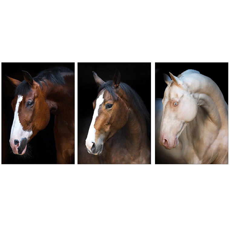 Quadro Decorativo Cavalos Kit com 3 quadros 2