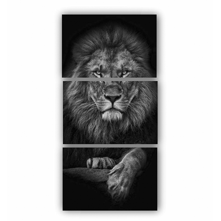 Quadro Decorativo Leão Black Kit com 3 quadros 2