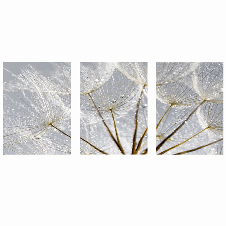 Quadro Decorativo Flor Cinza Orvalho Kit com 3 quadros  2
