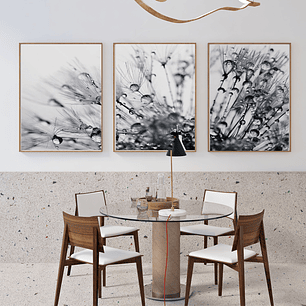 Quadro Decorativo Flor Preto e Branco Orvalho Kit com 3 quadros