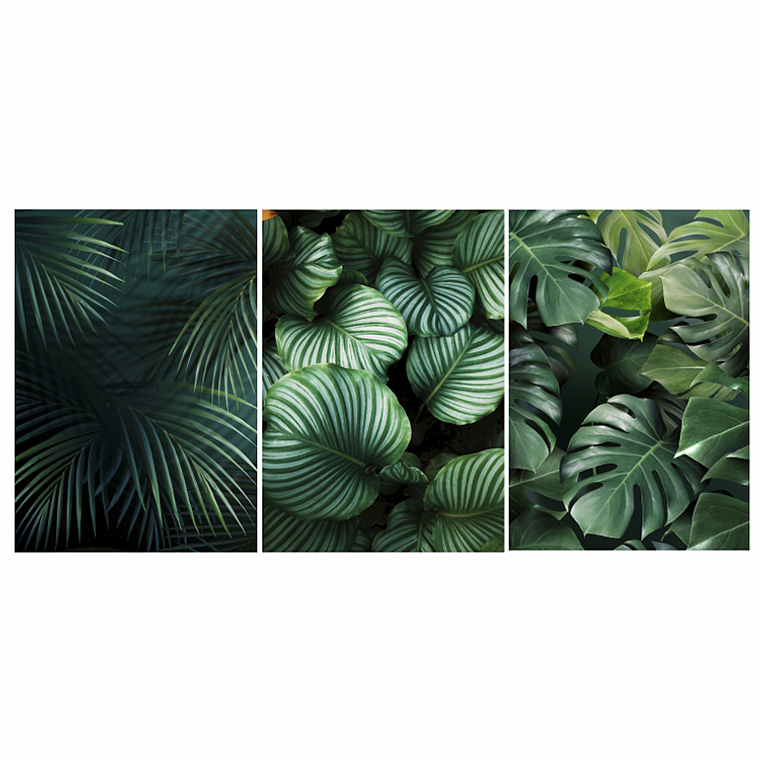 Quadro Decorativo Folhas Naturesa Kit com 3 quadros 2