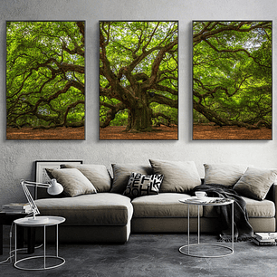 Quadro Decorativo Árvore Big Kit com 3 quadros