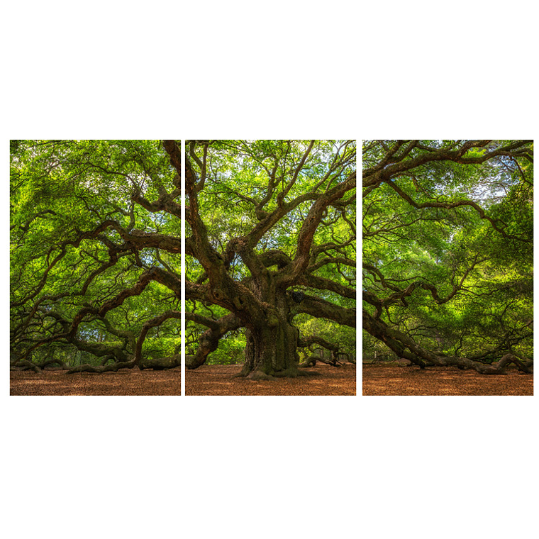 Quadro Decorativo Árvore Big Kit com 3 quadros 2