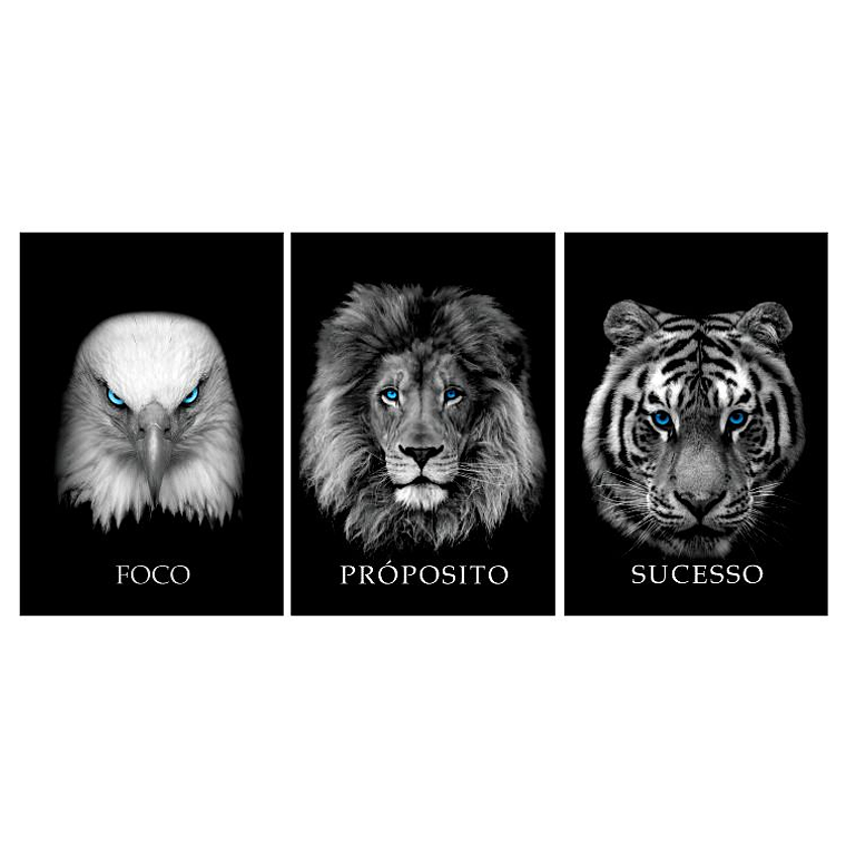 Quadro Decorativo Sucesso Kit com 3 quadros 2