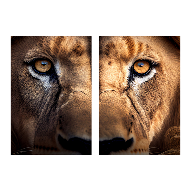 Quadro Decorativo Leão Olhos Kit com 2 Quadros 2