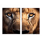 Quadro Decorativo Leão Olhos Kit com 2 Quadros - Thumbnail 2