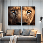 Quadro Decorativo Leão Olhos Kit com 2 Quadros - Thumbnail 1