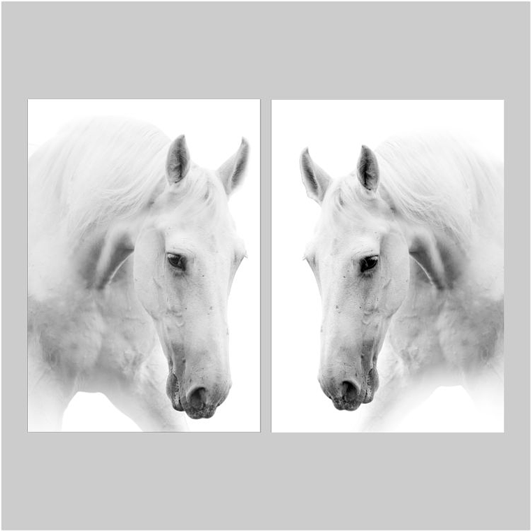 Quadro Decorativo Cavalo Branco Kit com 2 Quadros 2