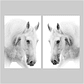 Quadro Decorativo Cavalo Branco Kit com 2 Quadros - Thumbnail 2