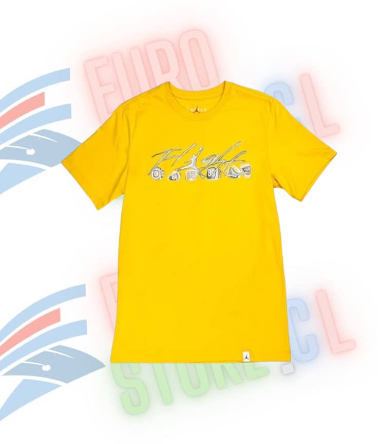 Polera Jordan Flight Anillo