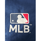 Short  MLB Training   2