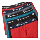 Boxer Champion Performance 2