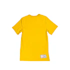 Polera Jordan Flight Anillo  2