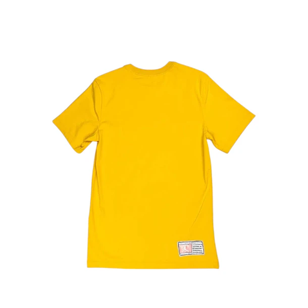 Polera Jordan Flight Anillo 