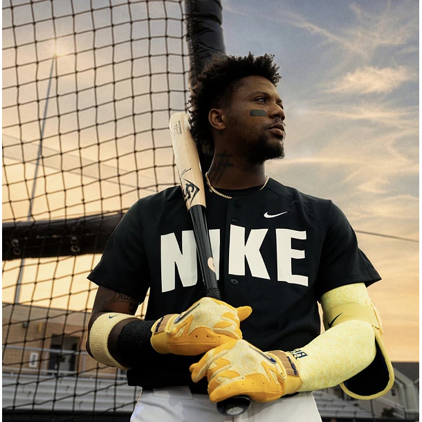 Manga Nike Pro Acuña Sleeve  3