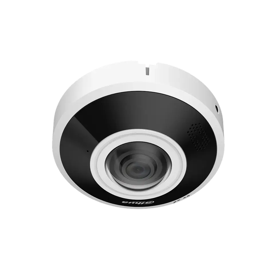 DH-IPC-EBW5641P-AS. Cámara Dahua, FISH EYE 360º, 6MP, Lente Fijo 1.68mm, IR 15M, Diversas IA, Conteo de Personas, Mapa de Calor, IVS, IP67, IK10. 2