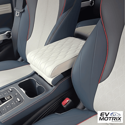 Almohadilla Cubierta para Reposabrazos Song Plus 3