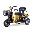 Trimoto Eléctrica L2 HOMOLOGADA 1