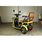Trimoto Eléctrica L2 HOMOLOGADA 4