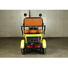 Trimoto Eléctrica L2 HOMOLOGADA 6