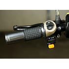 Trimoto Eléctrica L2 HOMOLOGADA 7