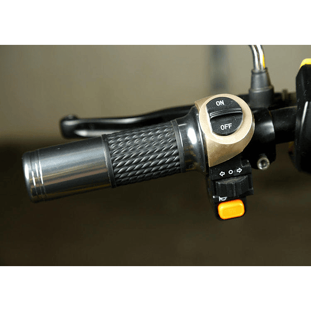 Trimoto Eléctrica L2 HOMOLOGADA 7