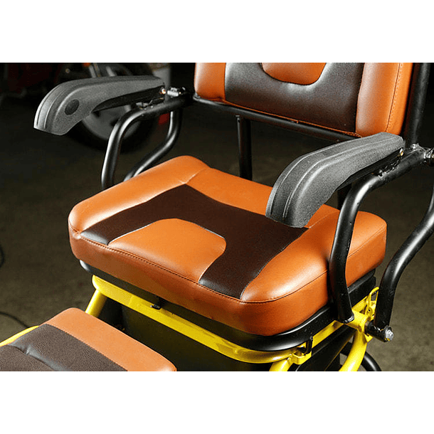 Trimoto Eléctrica L2 HOMOLOGADA 9