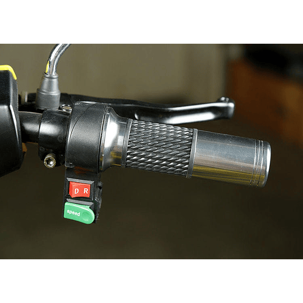 Trimoto Eléctrica L2 HOMOLOGADA 10