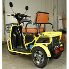 Trimoto Eléctrica L2 HOMOLOGADA 12