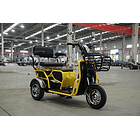 Trimoto Eléctrica L2 HOMOLOGADA 13