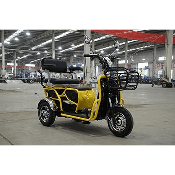 Trimoto Eléctrica L2 HOMOLOGADA 13