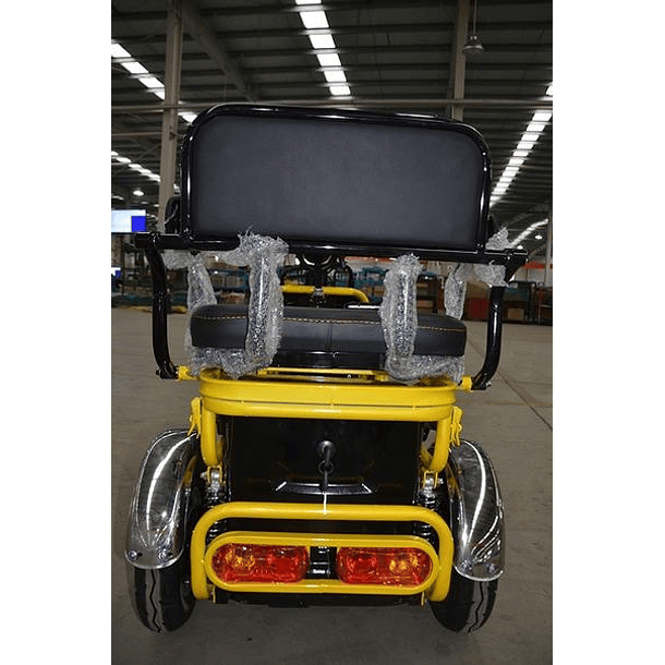 Trimoto Eléctrica L2 HOMOLOGADA 14