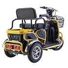 Trimoto Eléctrica L2 HOMOLOGADA 15