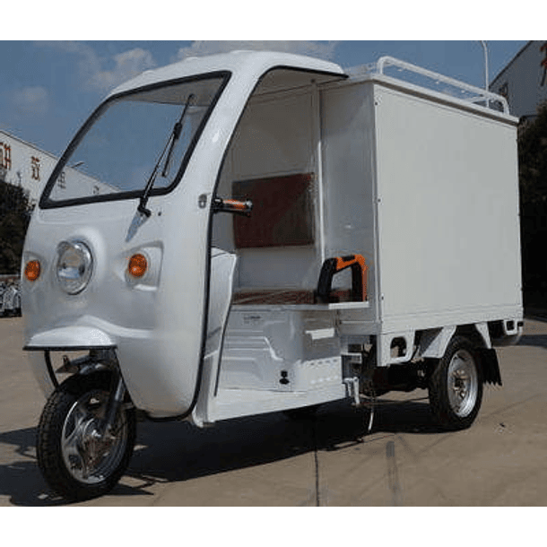 Triciclo Electrico Truck Y8 9