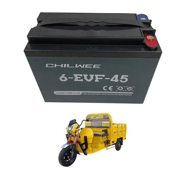 Batería Triciclos Electricos 45Ah