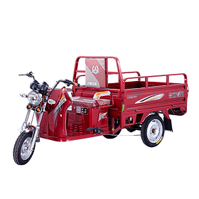 Triciclo Electrico Pick Up Mini Y3