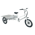 Tricicleta Electrica E-Trike Cargo Flat 1