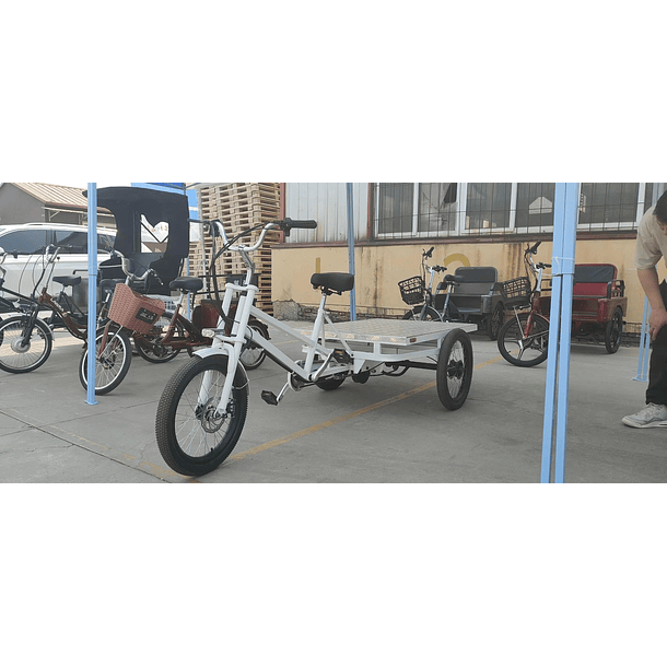 Tricicleta Electrica E-Trike Cargo Flat 2