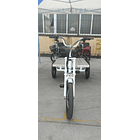 Tricicleta Electrica E-Trike Cargo Flat 3