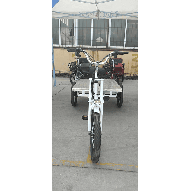 Tricicleta Electrica E-Trike Cargo Flat 3