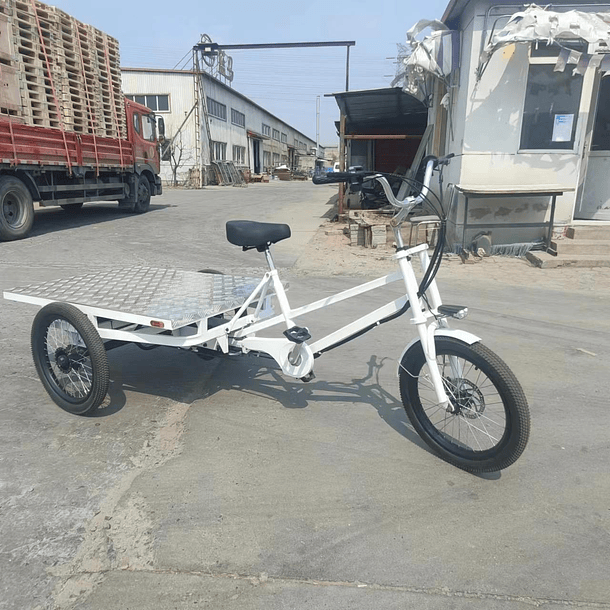 Tricicleta Electrica E-Trike Cargo Flat 5