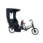Tricicleta Electrica E-Trike Victoria 1