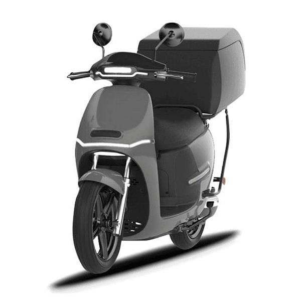 Moto Electrica Ek1 Ds